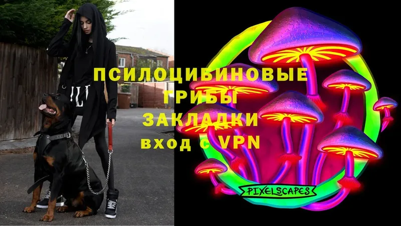 Галлюциногенные грибы MAGIC MUSHROOMS  Карпинск 